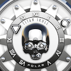 Polar Watch Face
