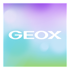 Geox Watch Face