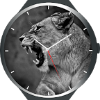 Animal Watch Faces